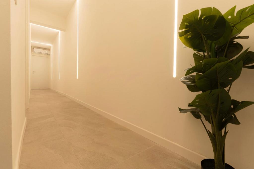 Terranova House - 4