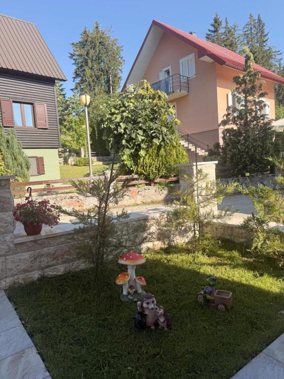 Samsa lux house in the center of Žabljak - 5