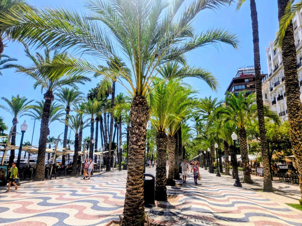 Alicante Big Holiday - 4