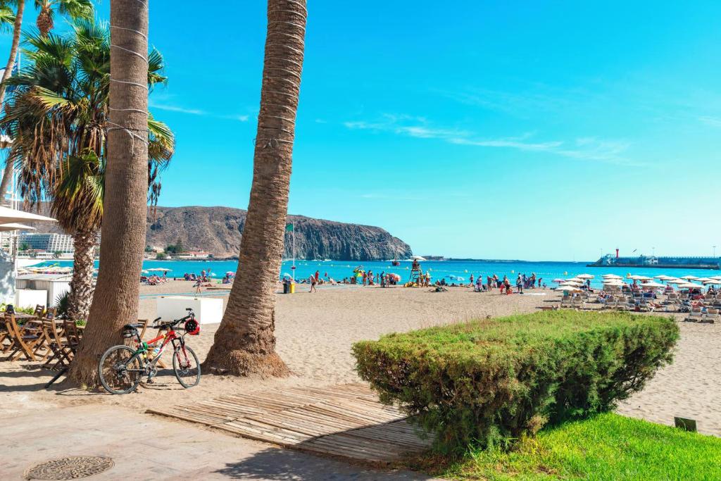 Dinastia B401 by Tenerife Rental & Sales - 3