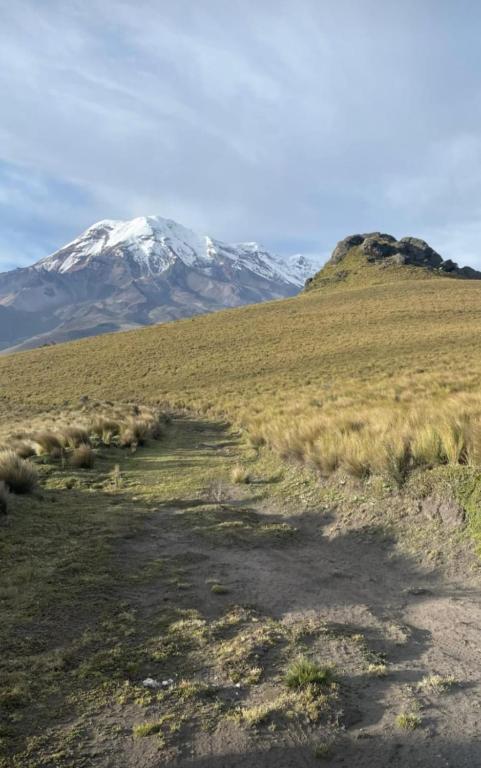 Glamping frente al Chimborazo - Peña Brava - 4