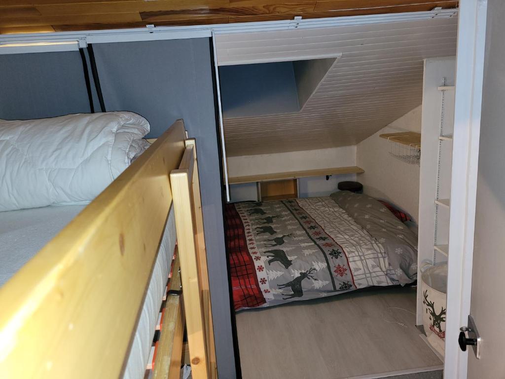 Studio duplex vue panoramique ski aux pieds 2100m d'altitude - 3