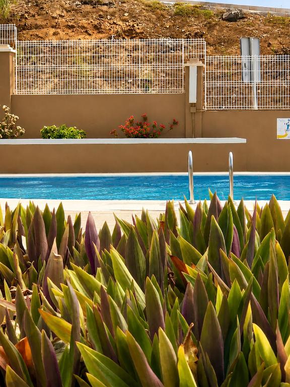 Comfort in Playa las Americas - 4