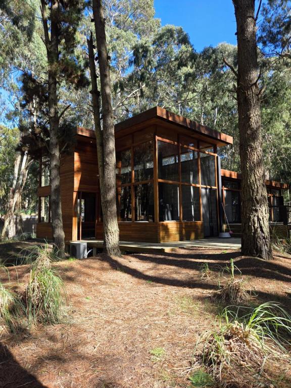 Al Bosque - 5