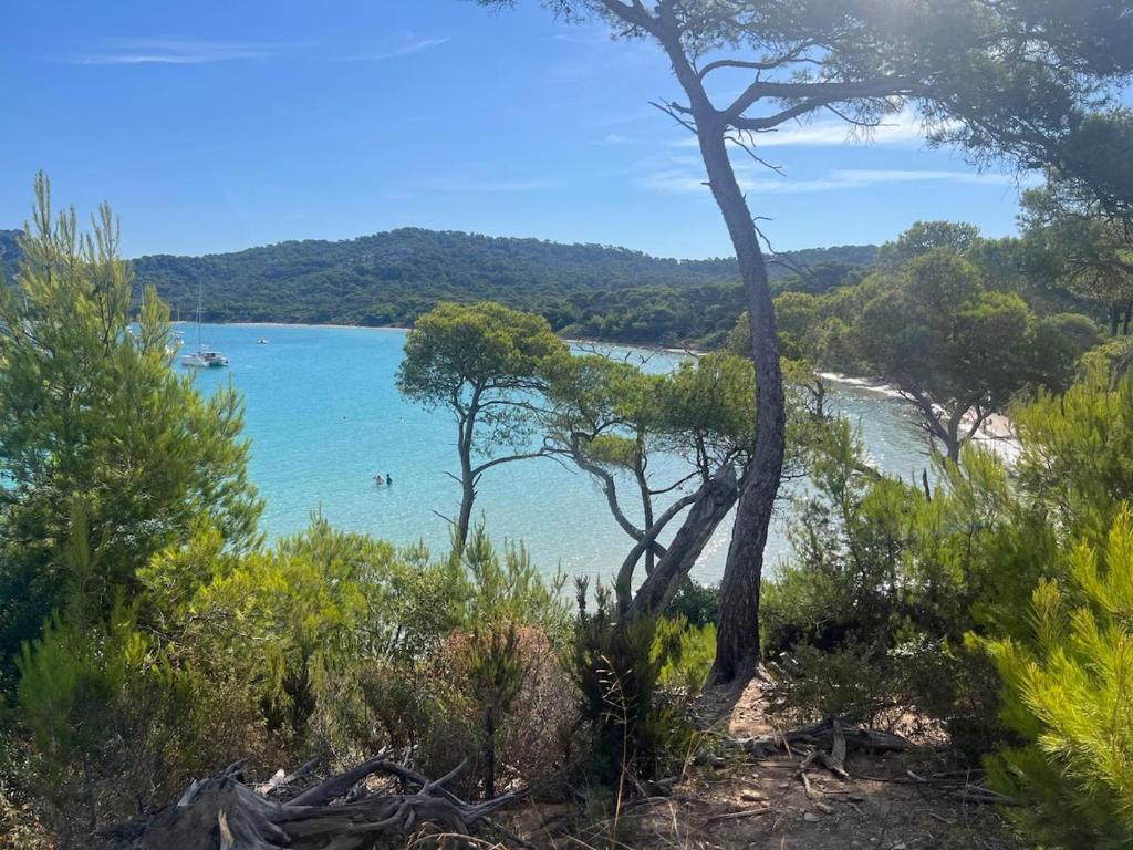 Studio avec terrasse vue mer, plage à 60m, parking - 4