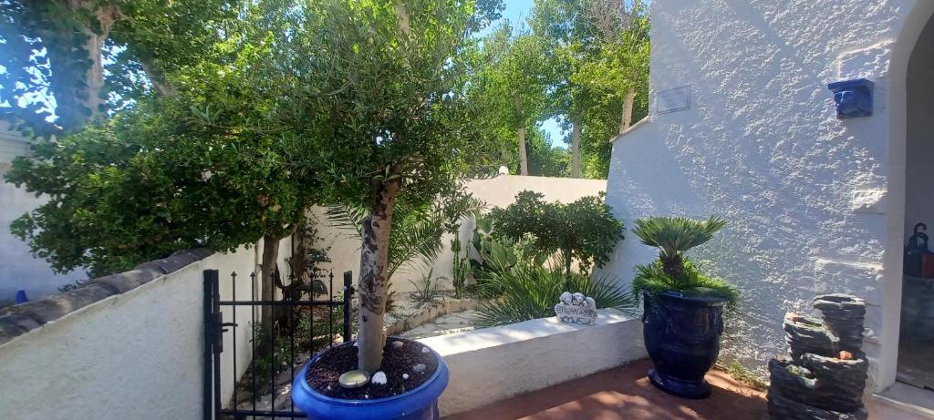 Appartement Jardin et Spa - 4