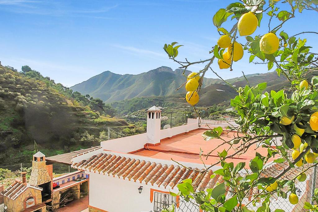 Cortijo Luque - 2