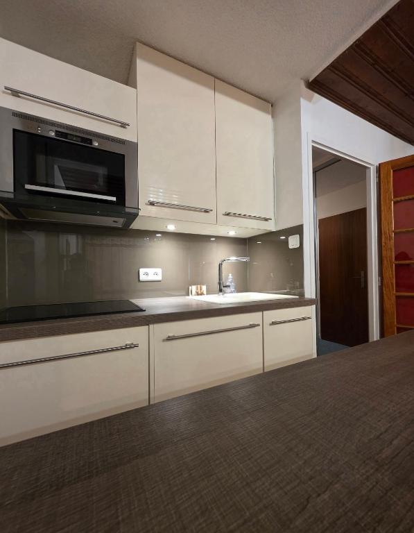 Le Serac Panoramic Mountain View spacious 40m2 managed by private host - 5