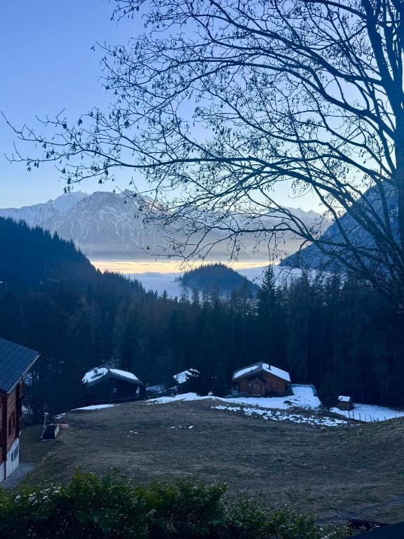Hüttli Chalet Weitblick 10 Minuten zur Skigondel und Aletschgletscher - 3