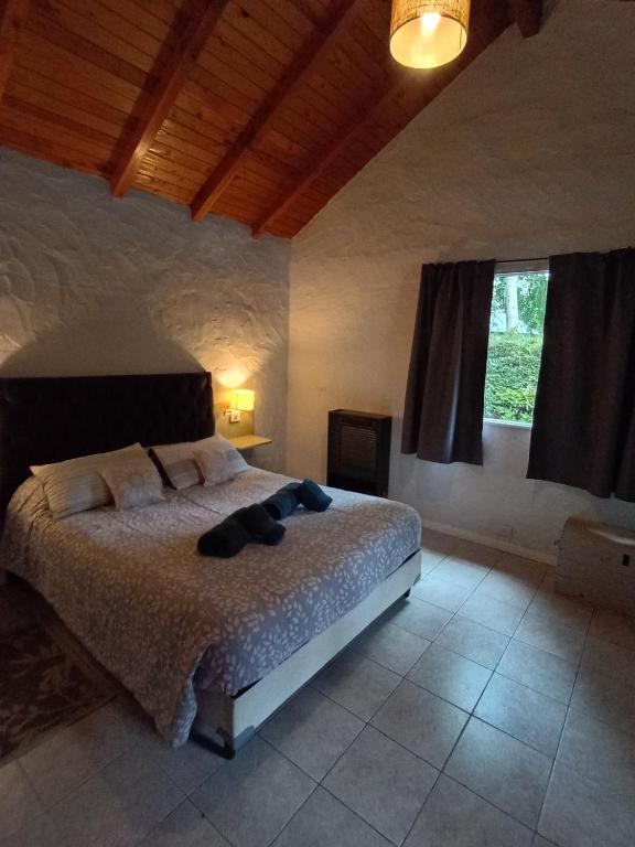 Los Lupinos - Casa del Bosque - 1