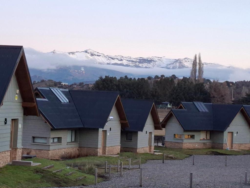 Naturaleza patagónica - 1