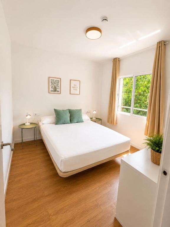 Apartaments Montseny - 5