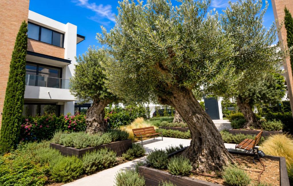 Premium Extended-Stay 2-Bed Apartment in Estepona - 1