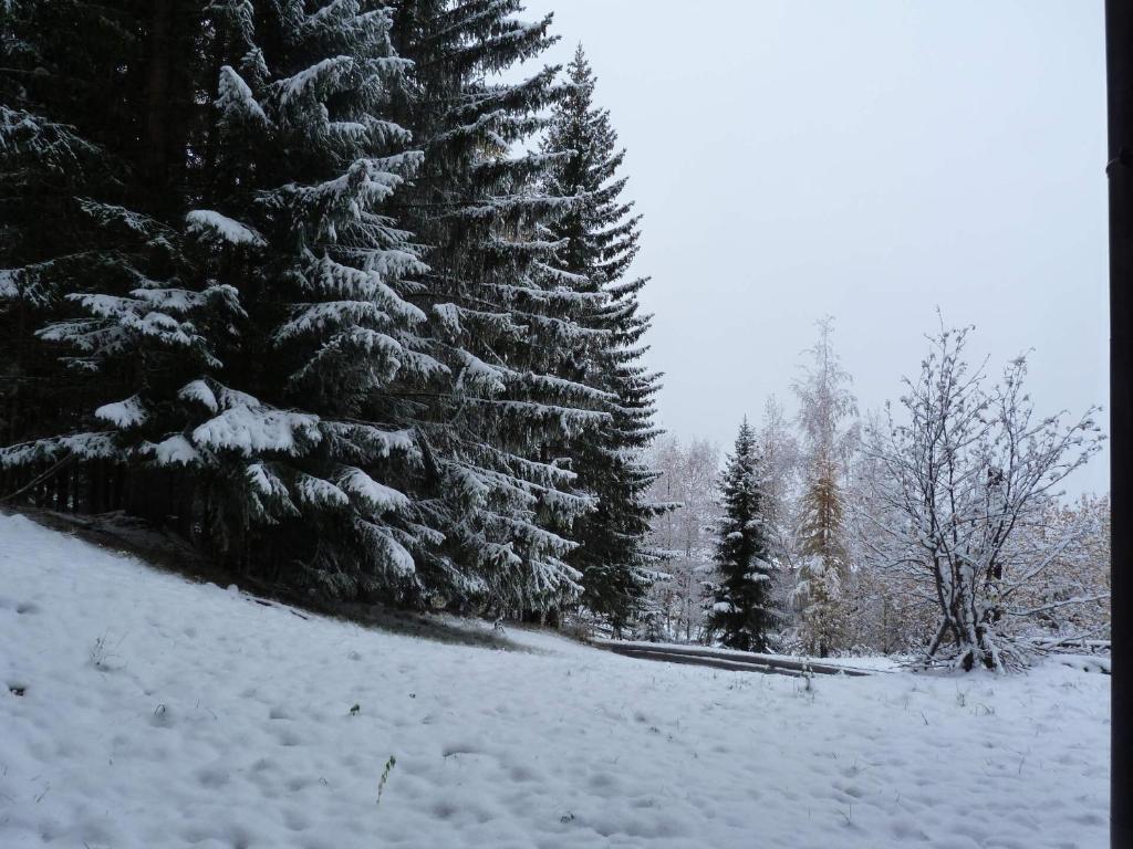 Résidence Mirantin 2 - Duplex pour 4 personnes proche des pistes et des commerces - Résidence calme dans le village de Charmettogerà Arc 1800 MAE-1980 - 5