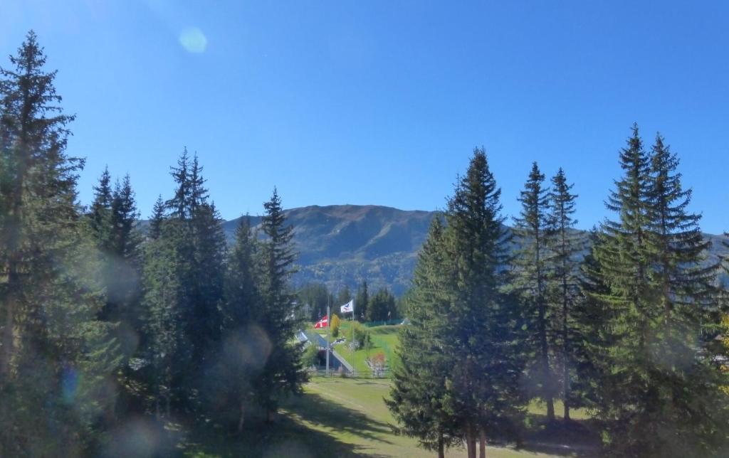 Résidence Les Dauphinelles - 2 pièces cabine pour 4/6 personnes situé à Méribel Altiport proche des pistes de ski et du golf MAE-2035 - 4