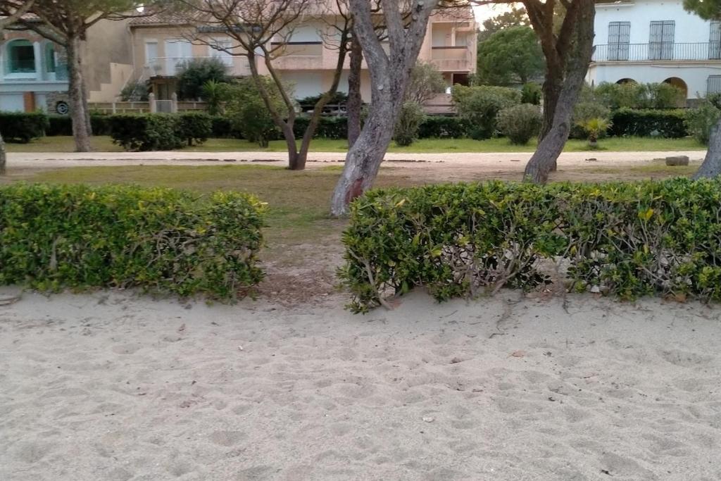 Argelès-sur-Mer Zen Vue sans être vu - 5