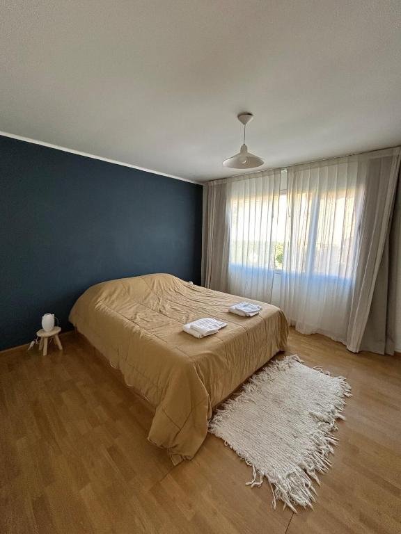 Beautiful duplex close to the park and the beach - 5