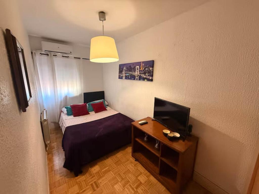 Arvenza apartment - 3