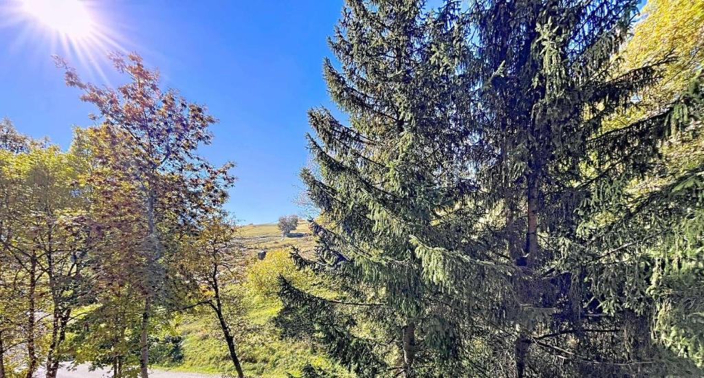 Résidence Orion - STUDIO CABINE 4/5 PERSONNES VUE PISTES MAE-9584 - 4