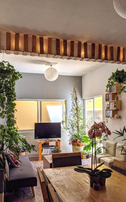 Furnished Room Downtown Querétaro -Monthly Stay - 4