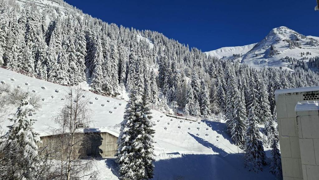 Résidence Andromede - Studio rénové · Proche des pistes MAE-8274 - 3
