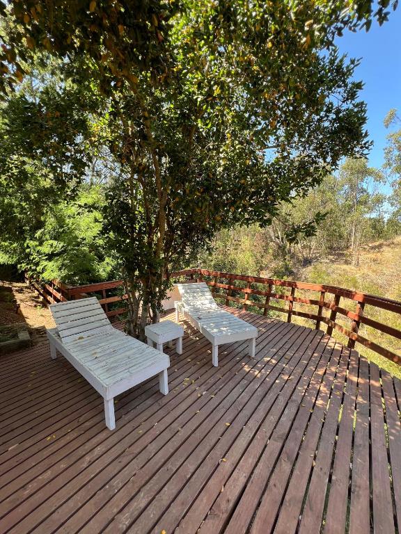 Casas Pamelas - 5