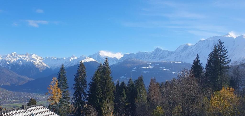 Résidence La Cry - Appartement 3 pièces - 6 personnes Vue Mont-Blanc MAE-5604 - 1