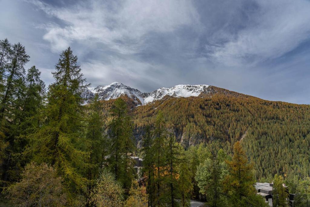 Résidence Les Ecrins - Adorable studio au coeur de la forêt des Orres MAE-6224 - 2