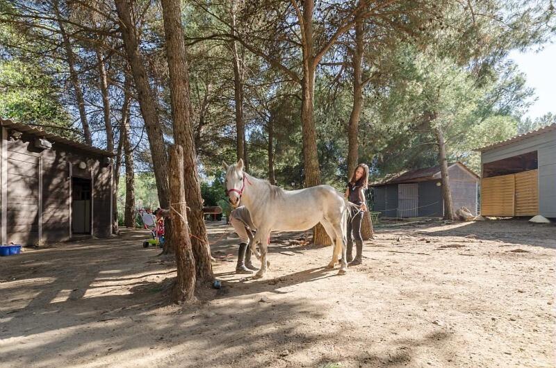 Les Maisons de Pont Royal en Provence - maeva Home - Maison climatisée pour 8 Personnes avec jardin privatif et terrasse MAE-2283 - 5