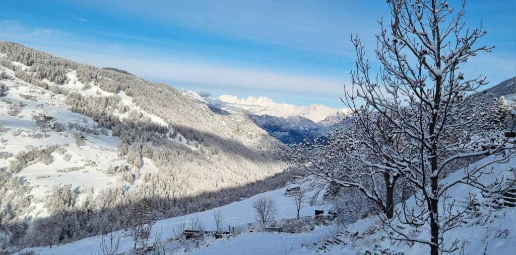 Chalet Le Chatelret - LE CHATELRET MAE-9361 - 2