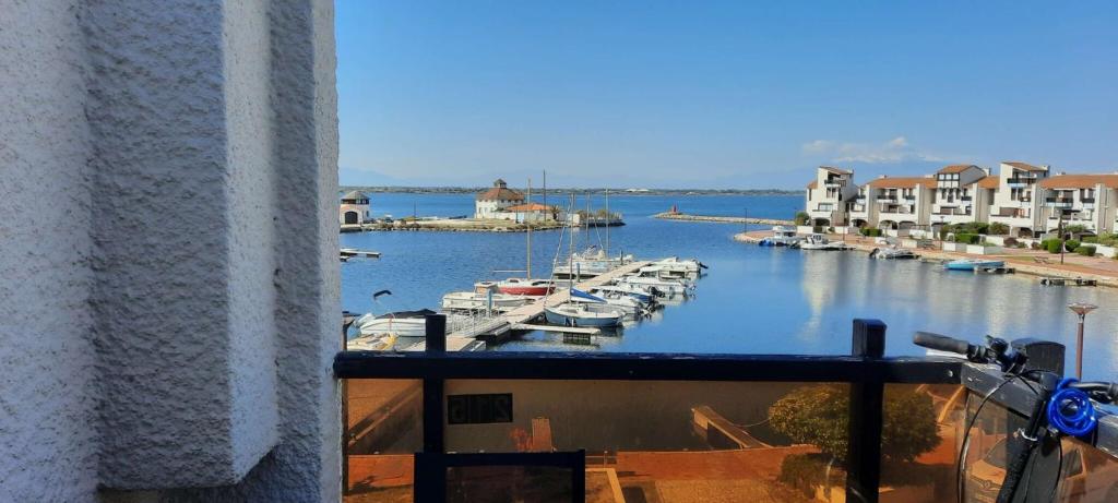 Résidence Palmyra - Appartement climatisé - 2 pièces + mezzanine à LE BARCARES - COUDALERE MAE-5774 - 1