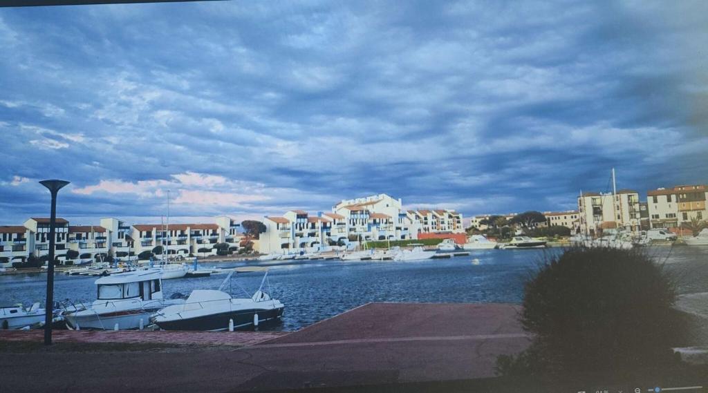 Résidence Palmyra - Appartement climatisé - 2 pièces au rez-de-chaussée à LE BARCARES - COUDALERE MAE-4083 - 4
