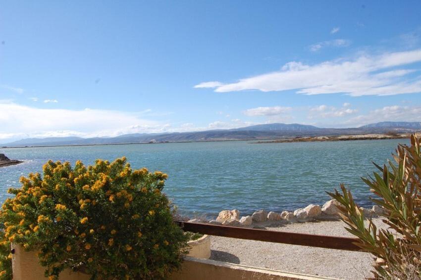 Résidence Hawai 1 - VILLA T1 CAB MEZZ 5 couchages PORT LEUCATE MAE-4524 - 1