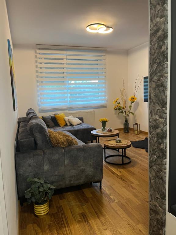 Apartment Paso - 4