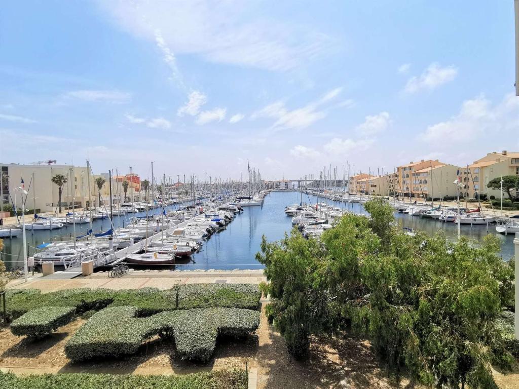 Résidence Le Canigou - Grand studio 4 couchages PORT LEUCATE MAE-4834 - 2