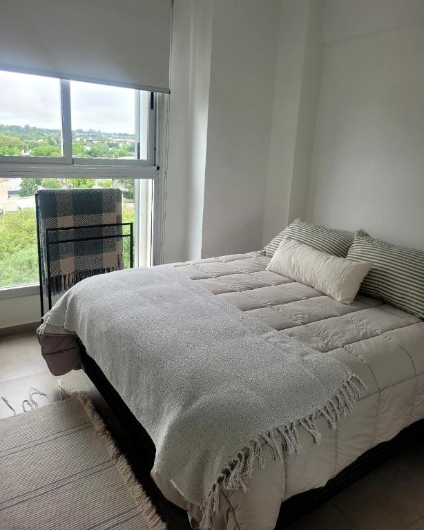 Departamento Ayres del Sur - 2
