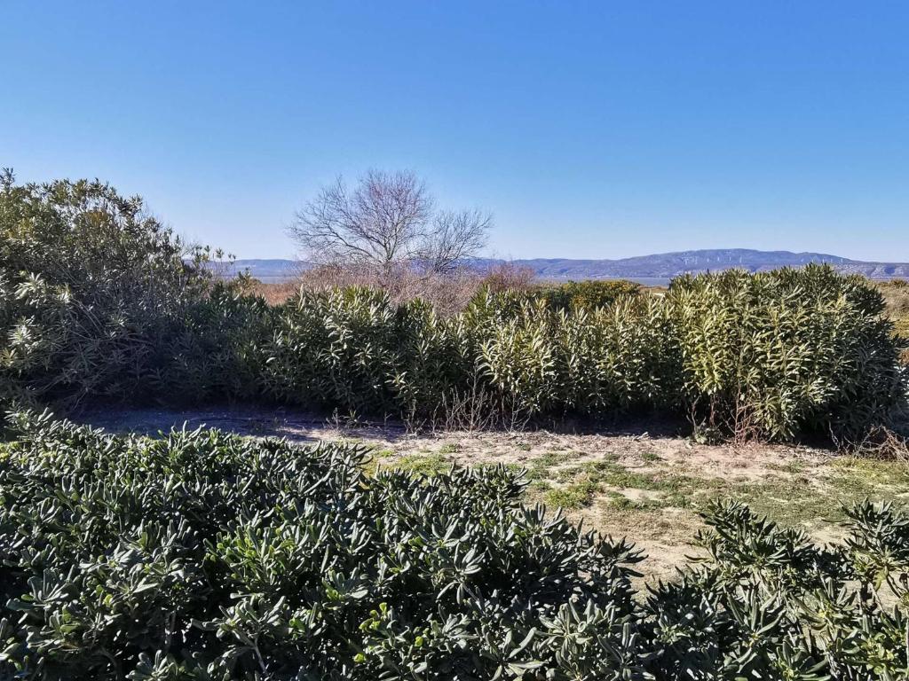 Résidence Les Bastides Du Cap - Villa 4 pièces - 6 couchages LE BARCARES MAE-8421 - 3