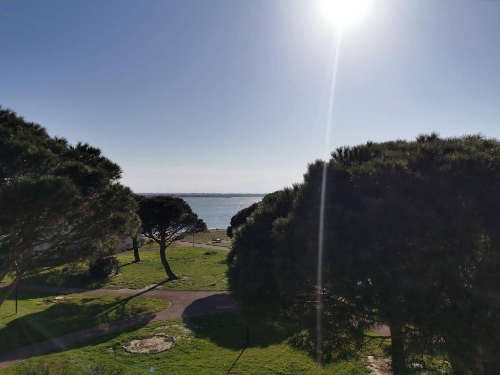 Résidence L'etang - Studio pour 2 personnes - LE BARCARÈS. Réf: 9ETA_321A MAE-9663 - 1