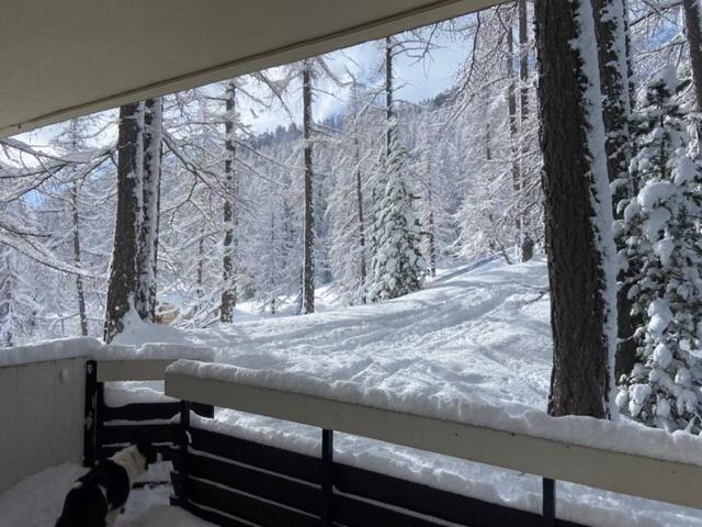 Résidence Les Fibieres - Un cocon familial au pied des pistes. MAE-2943 - 3