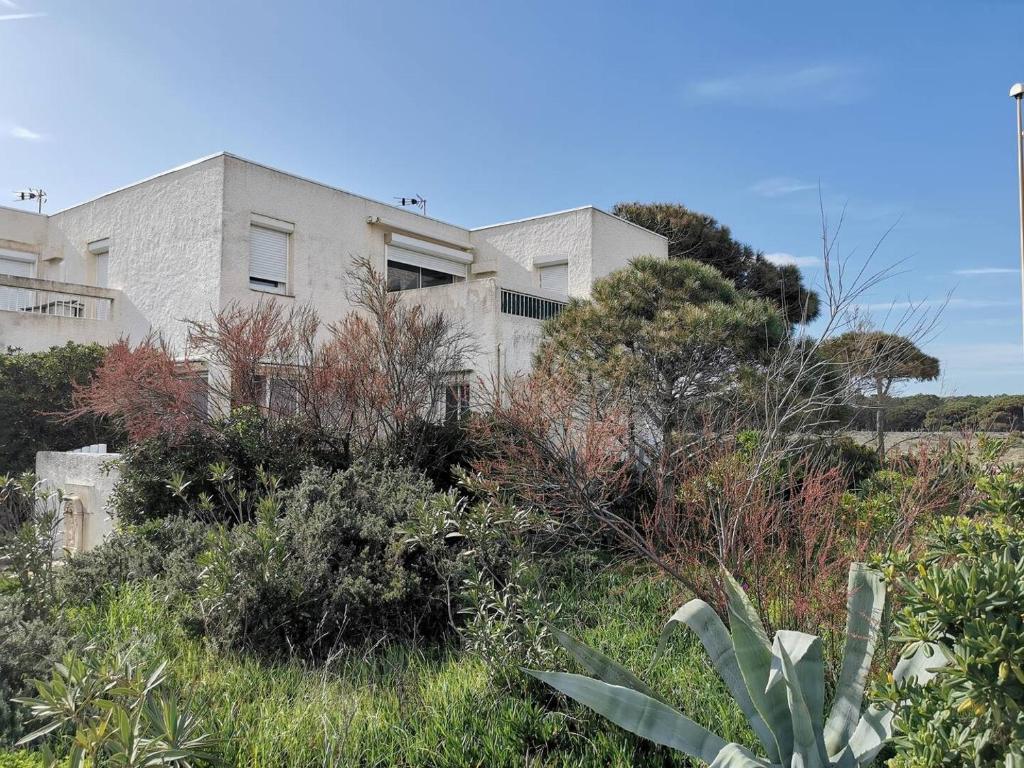 Résidence El Yucca - Appartement 4 pièces - 8 couchages - LE BARCARES MAE-9383 - 1