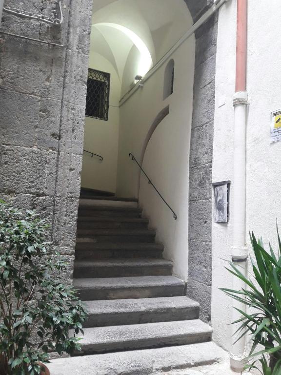 Casetta Nova - 5