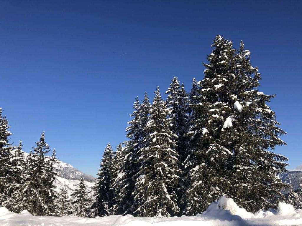 Résidence Gollet - Le Gollet 68 - Studio divisible avec vue montagnes MAE-7461 - 5