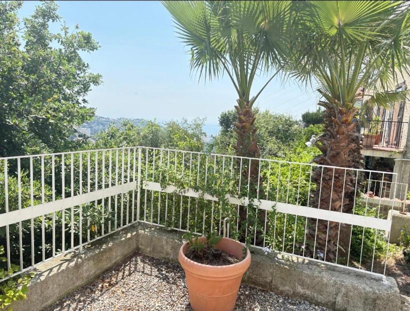 Villa Carthage piscine parking gratuit - 3