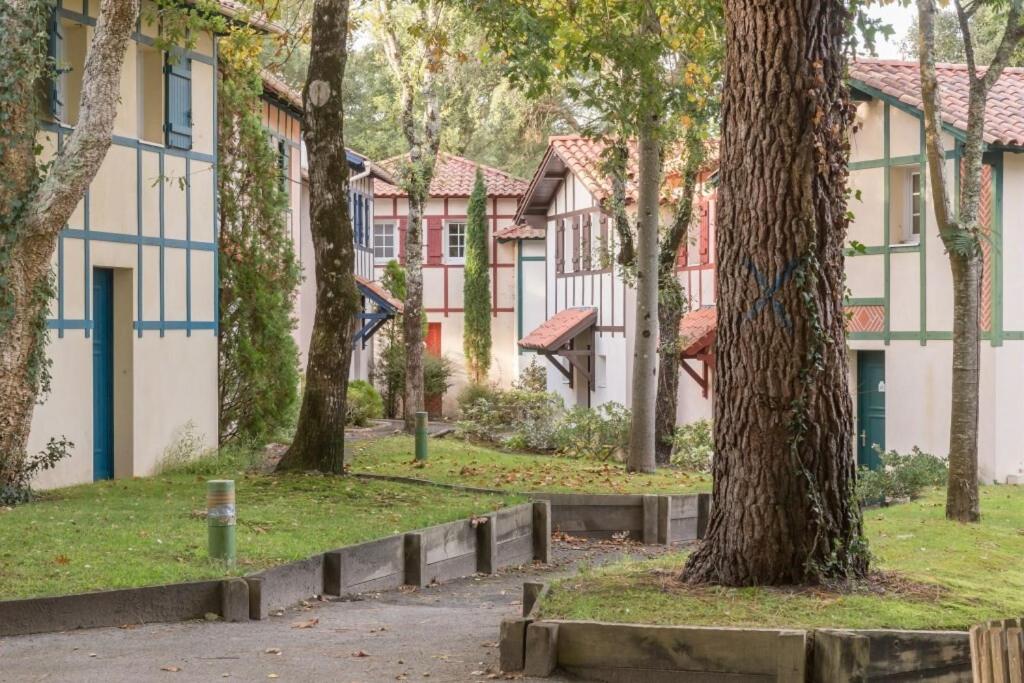Les maisons de Moliets - maeva Home - Maison 4 pièces 8 personnes - Confort MAE-2094 - 4