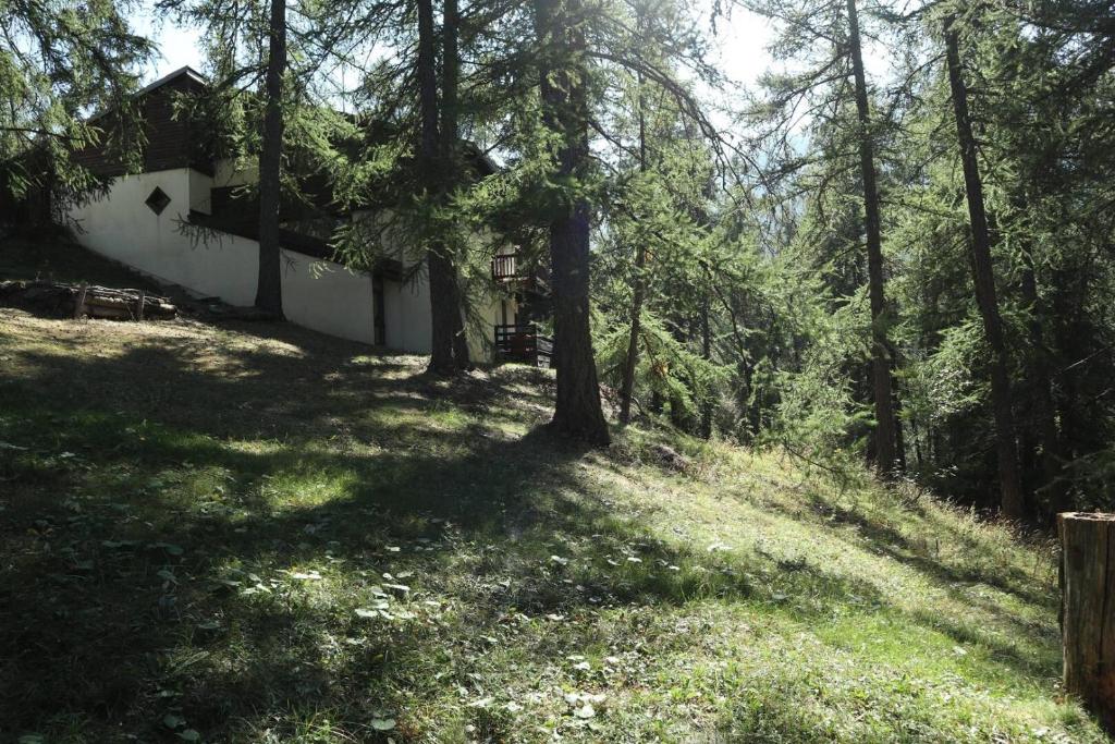Résidence La Chamoisiere - Dans un écrin forestier, résidence au calme. MAE-7394 - 3