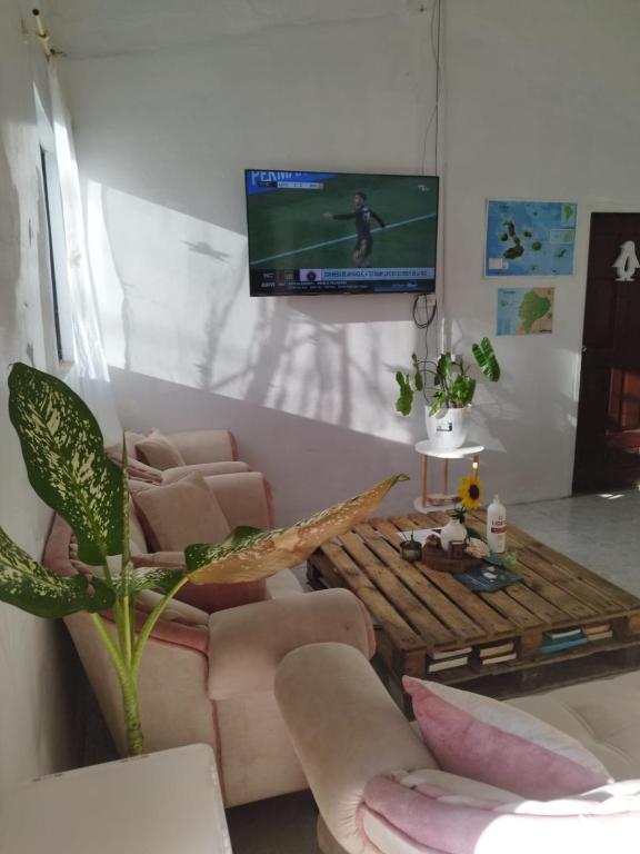 Chivo Gringo's House - 1