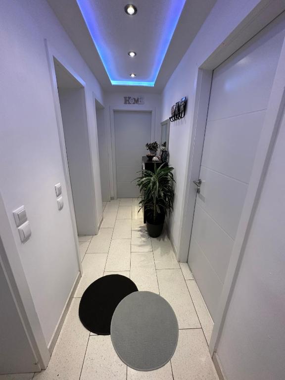 Cozy & Stylish space with Parking - 1