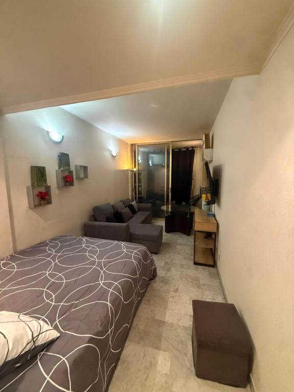 Grand studio climatisé avec place privative - 2