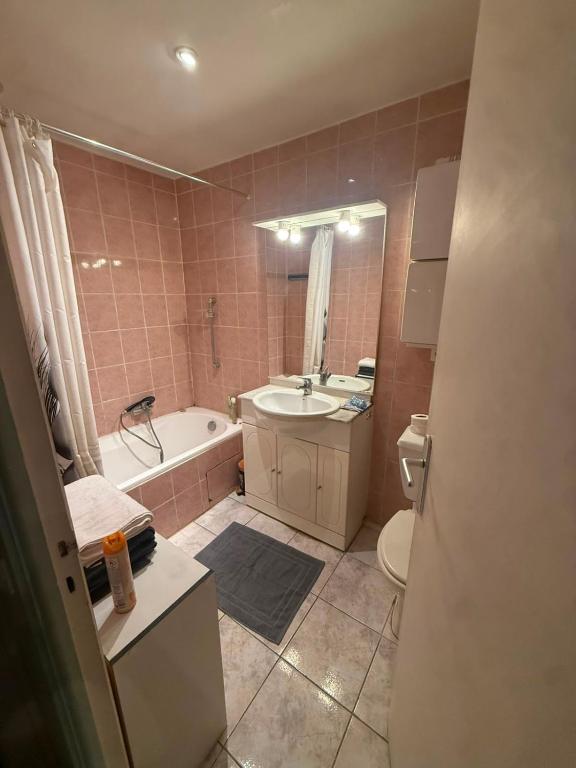 Grand studio climatisé avec place privative - 3