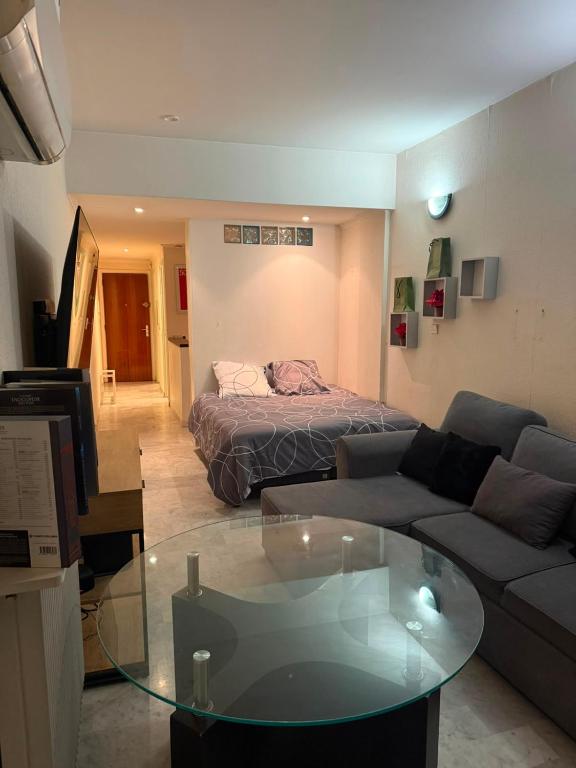 Grand studio climatisé avec place privative - 4